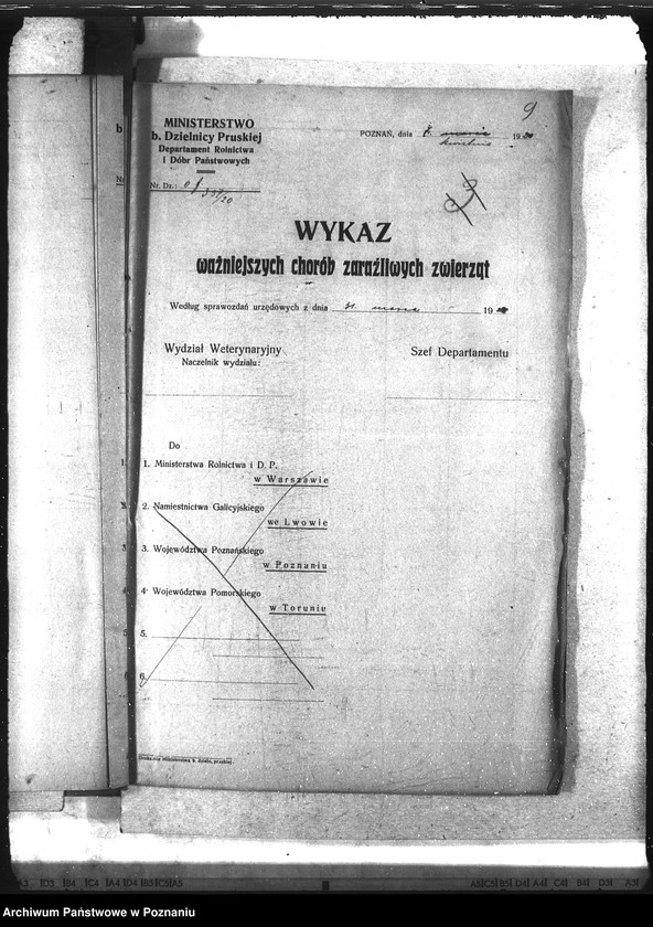 Obraz 13 z jednostki "Wykaz chorób zaraźliwych zwierząt"