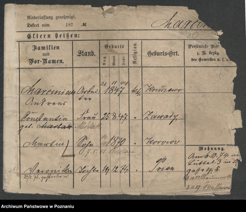 Obraz 12 z jednostki "Marciniak (żonaci i wdowy)"