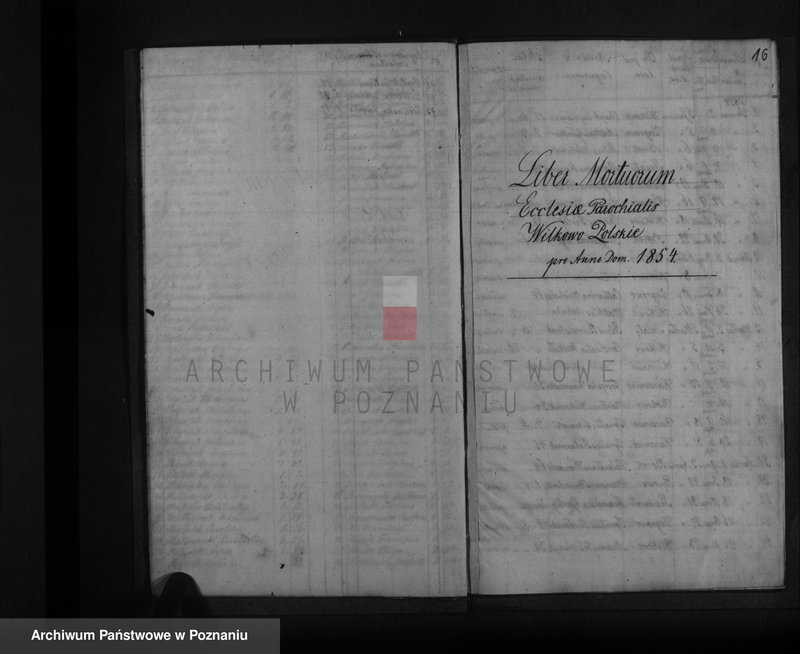 Obraz 12 z jednostki "Liber baptisatorum, copulatorum, mortuorum"