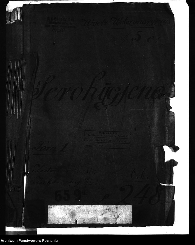 Obraz 4 z jednostki ""Serohigiena" [Towarzystwo akcyjne]"