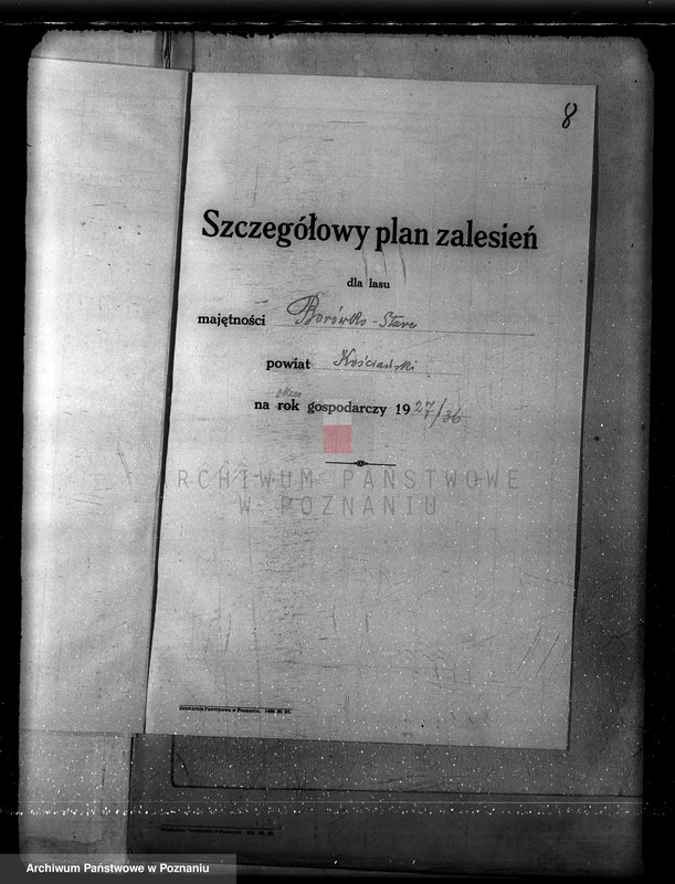 Obraz 12 z jednostki "Plan urządzania gospodarstwa leśnego dla lasu majętności Borówkowo-Stare i Piotrkowice powiat kościański"