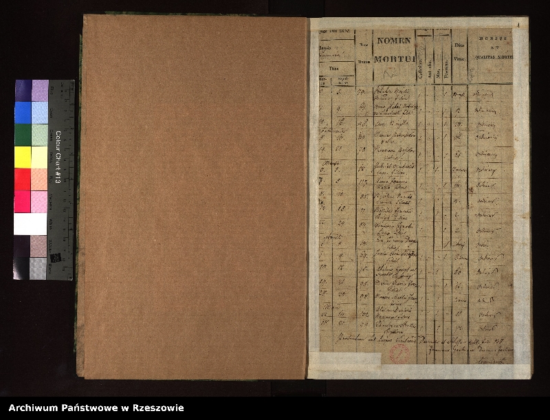 Obraz z jednostki "Księga zgonów dla miejscowości Radoszyce"