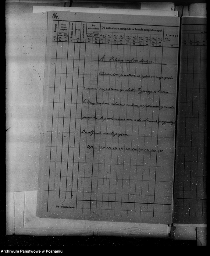 Obraz 19 z jednostki "Plan urządzania gospodarstwa leśnego dla lasu majętności Kopaczewo- Rogaczewo powiat kościański"