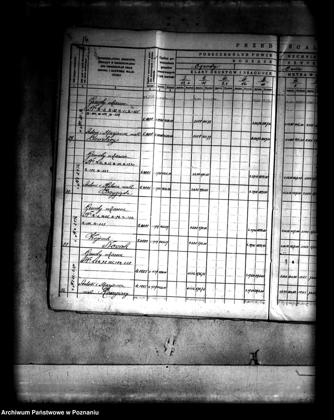 Obraz 19 z jednostki "Szczegółowy rejestr pomiarowo-szacunkowy wsi Spławie powiatu konińskiego przed scaleniem"