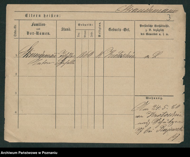 Obraz 11 z jednostki "Strauchman - Striwy (Strü...)"