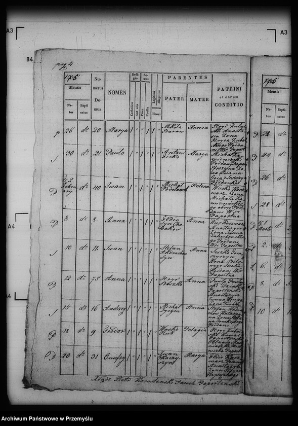 image.from.unit.number "[Kopie ksiąg metrykalnych parafii Paportno z filią Sopotnik i Kropiwnik (dekanat Dobromil)]"