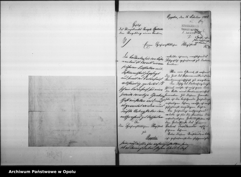 Obraz 15 z jednostki "Acta des Magistrats zu Oppeln betreffend Anträge auf Errichtung neuer Schankanlagen"