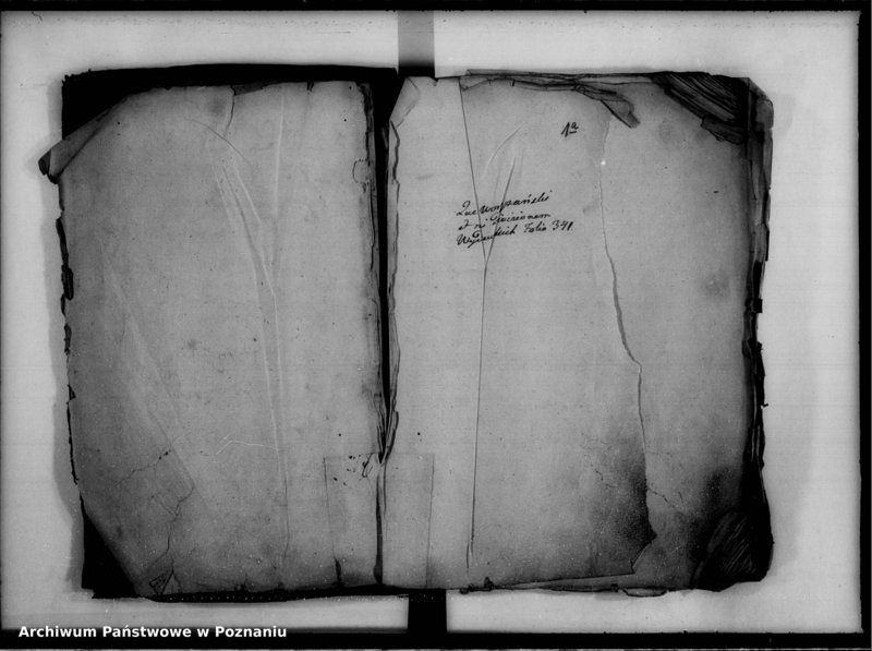 Obraz 4 z jednostki "Inscriptiones, relationes [inducta]"