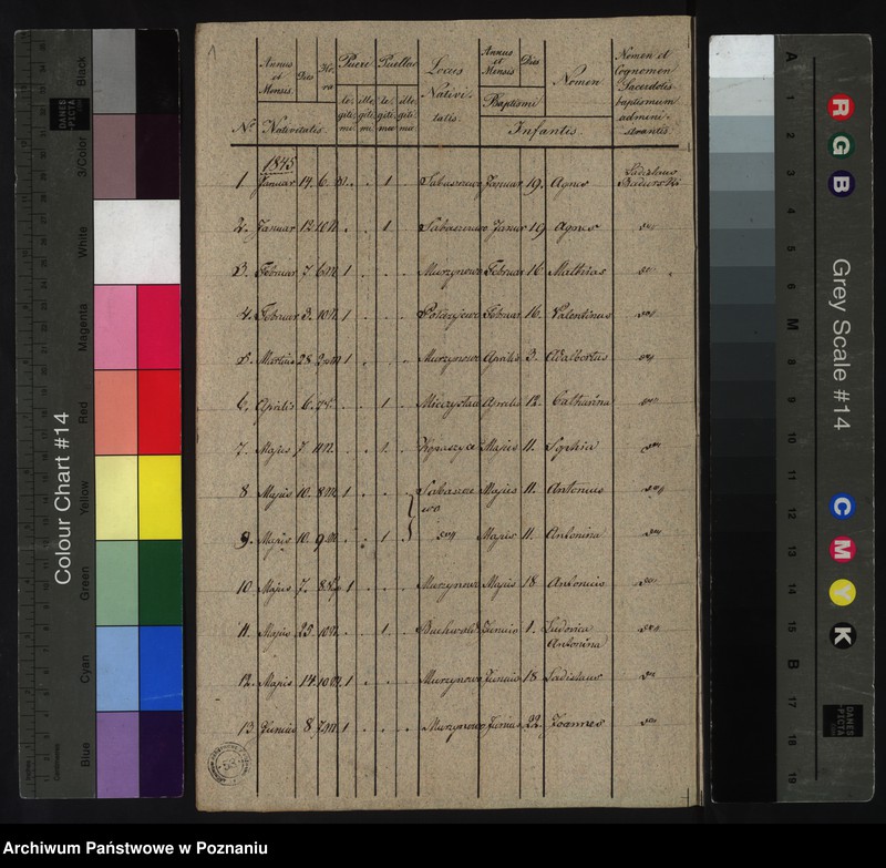 image.from.unit.number "Liber baptisatorum"