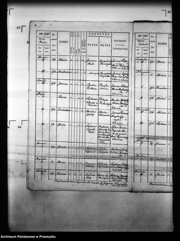 image.from.unit.number "[Kopie ksiąg metrykalnych parafii Majdan Sieniawski z filiami Adamówka, Krasne (dekanat Sieniawa)]"