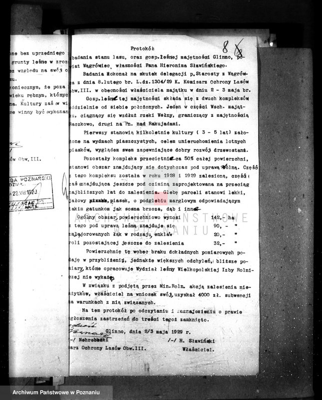 Obraz 12 z jednostki "Majętność leśna Glinno powiat wągrowiecki"