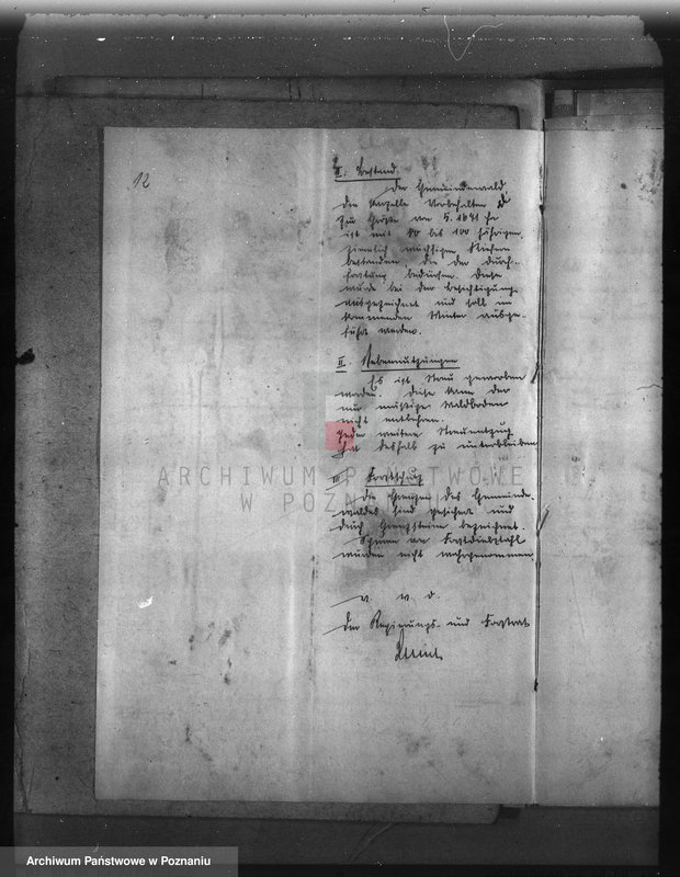 Obraz 16 z jednostki "Las gminy Olszewo powiat ostrowski"