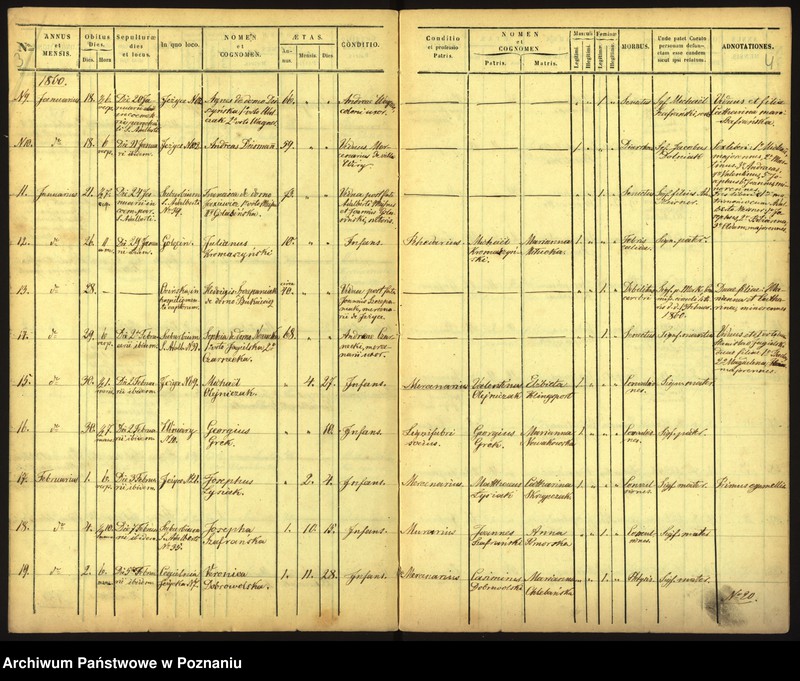 Obraz 5 z jednostki "Księga zgonów"