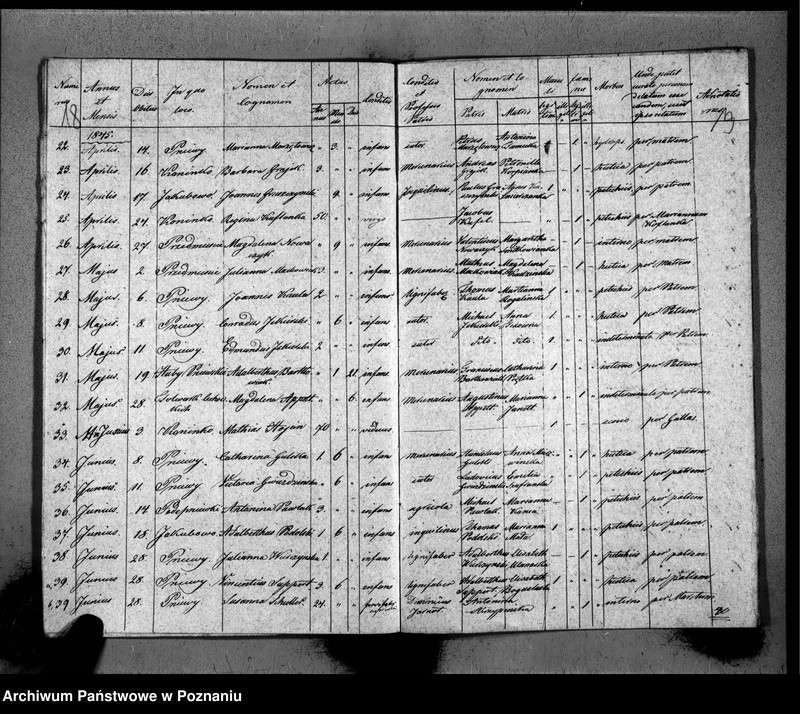 Obraz 13 z jednostki "Duplicat baptisatorum, copulatorum, mortuorum"