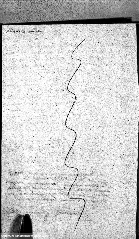 image.from.unit.number "Duplicaty Urodzonych Zaślubionych i Zmarłych Sekty Filiponów z Gminy Krasnohruda z 1846 r."