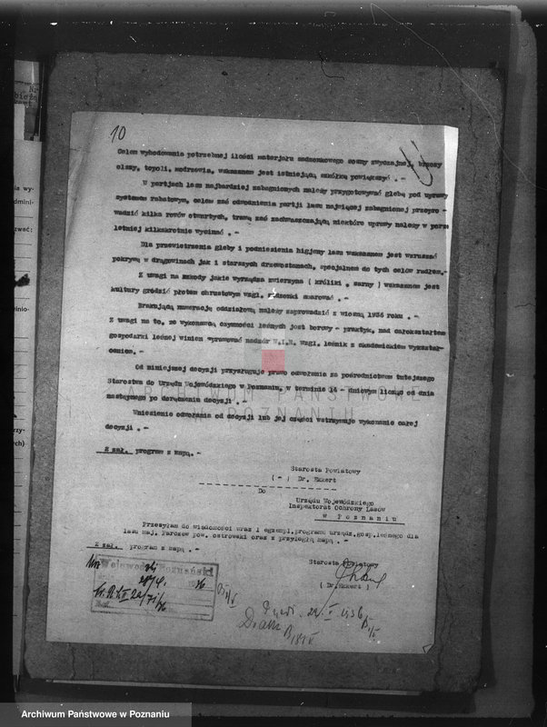 image.from.unit.number "Las majętności Parczew powiat ostrowski"