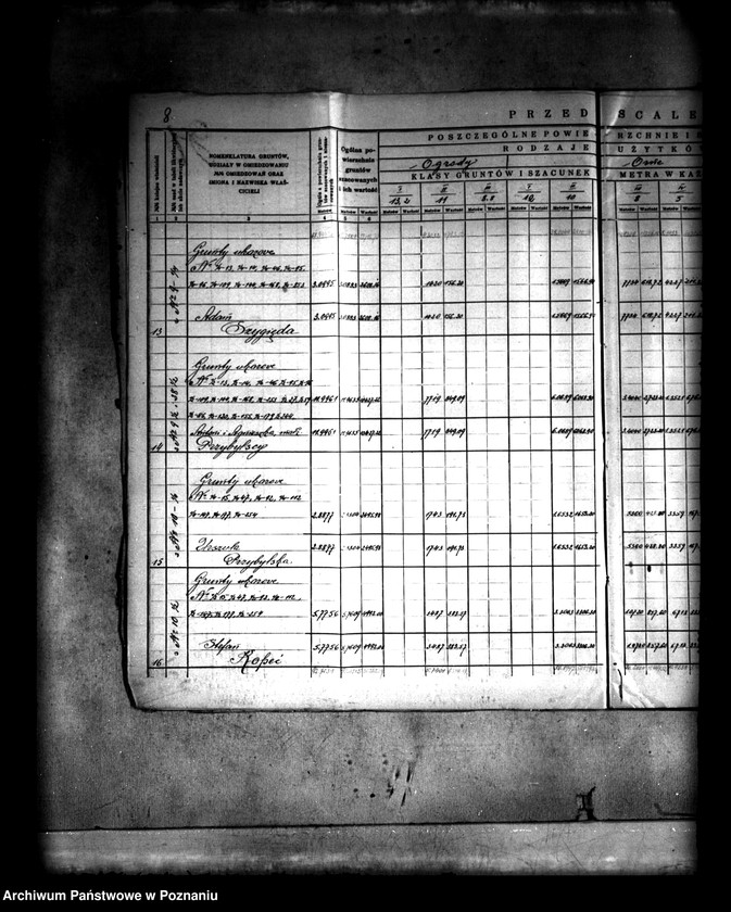 Obraz 11 z jednostki "Szczegółowy rejestr pomiarowo-szacunkowy wsi Spławie powiatu konińskiego przed scaleniem"