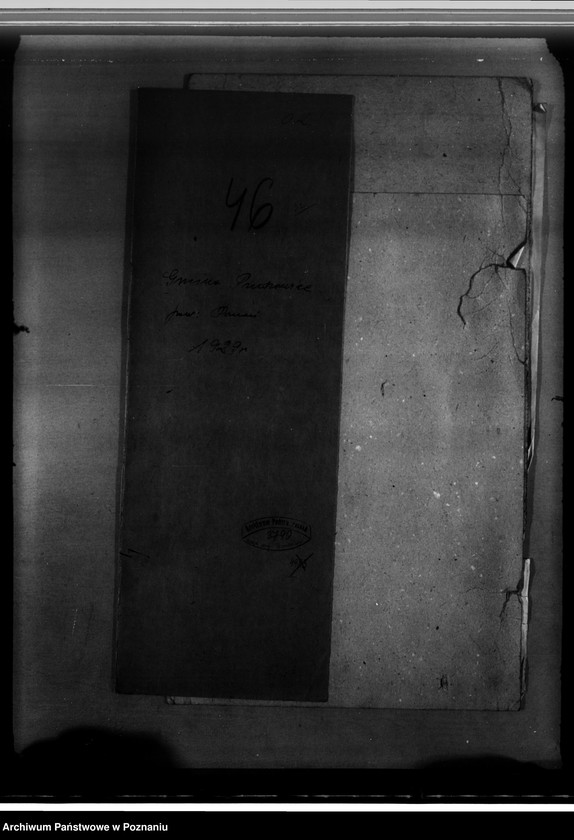 Obraz 4 z jednostki "Program urządzenia gospodarstwa leśnego dla lasu w gminie Pruszewice wł.. Berta Nickel powiat poznański 1929-1939"