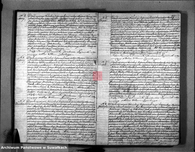 Obraz 5 z jednostki "D. Ł. Par. Leypuny 1861"