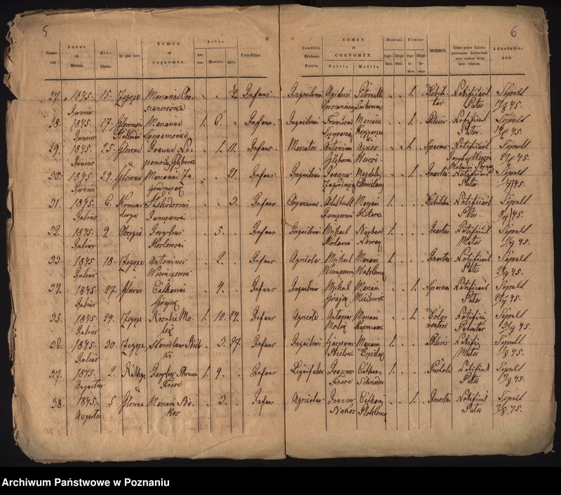 Obraz 6 z jednostki "Księga zgonów"