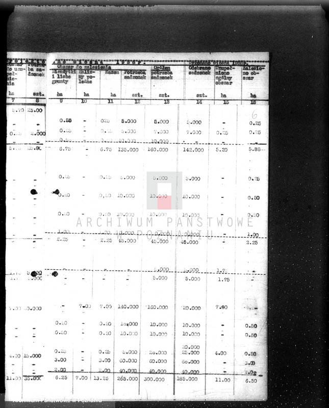 Obraz 10 z jednostki "Zalesienie nieużytków w powiecie bydgoskim"