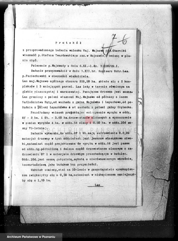 Obraz 11 z jednostki "Nadzór nad gospodarką w lasach majętności Wojnowo powiat obornicki"