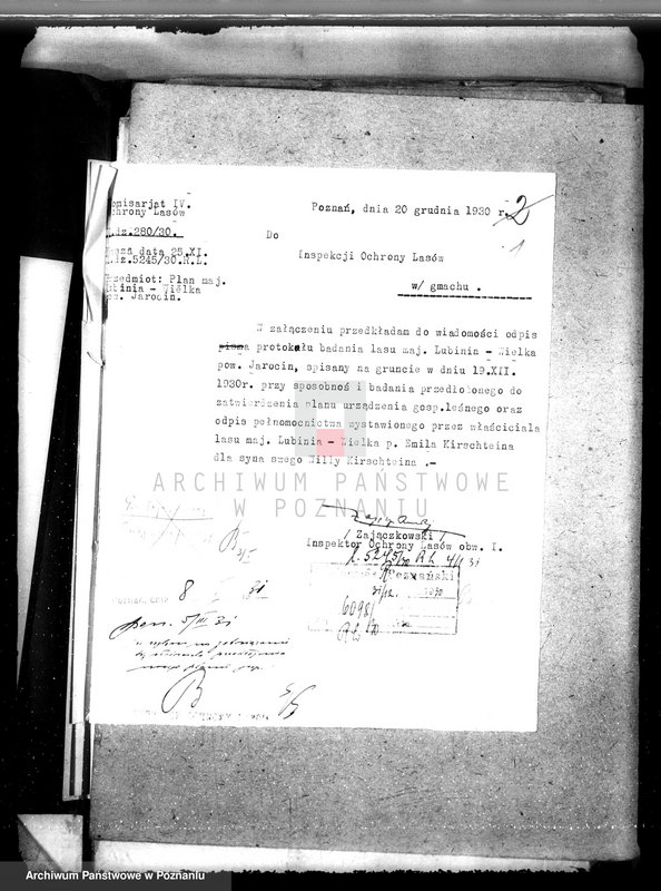 Obraz 5 z jednostki "Nadzór nad gospodarką w lasach majątku Lubinia-Wielka w powiecie jarocińskim"