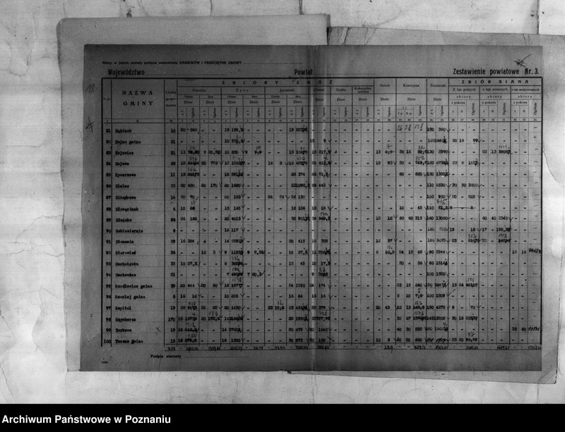 Obraz 19 z jednostki "/Statystyka produkcji rolnej - zestawienie powiatowe - Inowrocław/"