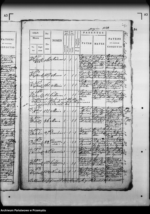 Obraz 9 z jednostki "[Kopie ksiąg metrykalnych parafii Krukienice z filią Ostrożec (dekanat Mościska)]"