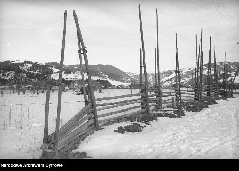 image.from.collection.number "Pożegnanie zimy111"