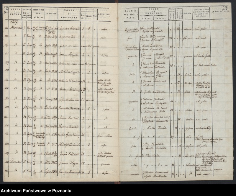 Obraz 17 z jednostki "Księga zgonów"