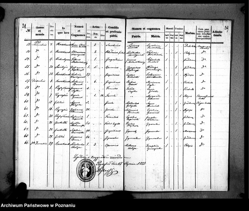 image.from.unit.number "Duplikaty urodzeń, małżeństw i zmarłych"