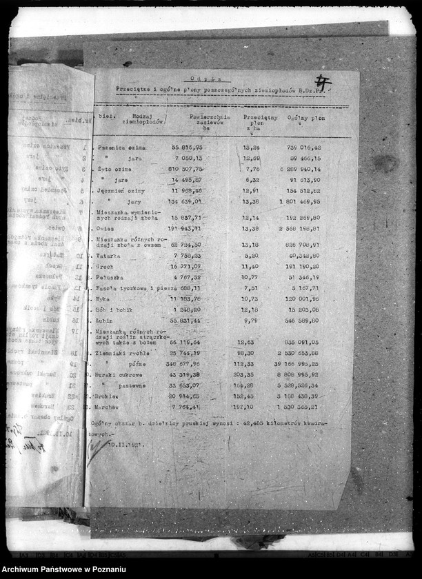 Obraz 8 z jednostki "Statystyka"