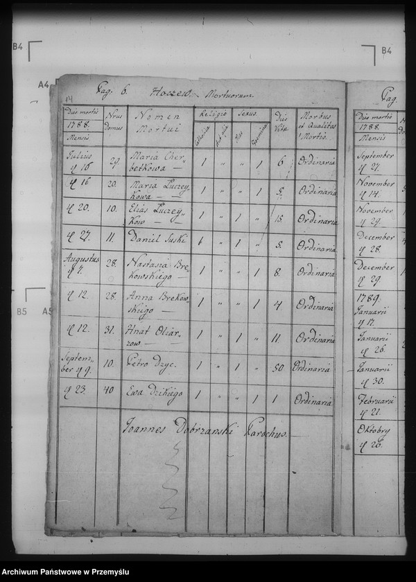 Obraz 18 z jednostki "[Kopie ksiąg metrykalnych parafii Hoczew z filiami Bachlowa, Dziurdziów (dekanat Baligród)]"