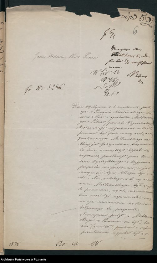 Obraz 10 z jednostki "A. betr. Johann von Małkowski und Fürst Stanislaus Dowmund Matusiewicz aus Wien"