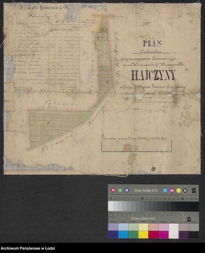 Obraz 1 z jednostki "Plan pastwiska przyznanego przez Kommissyją Spraw Włościańskich włościanom wsi Hajczyny w powiecie łaskim ... położonego"