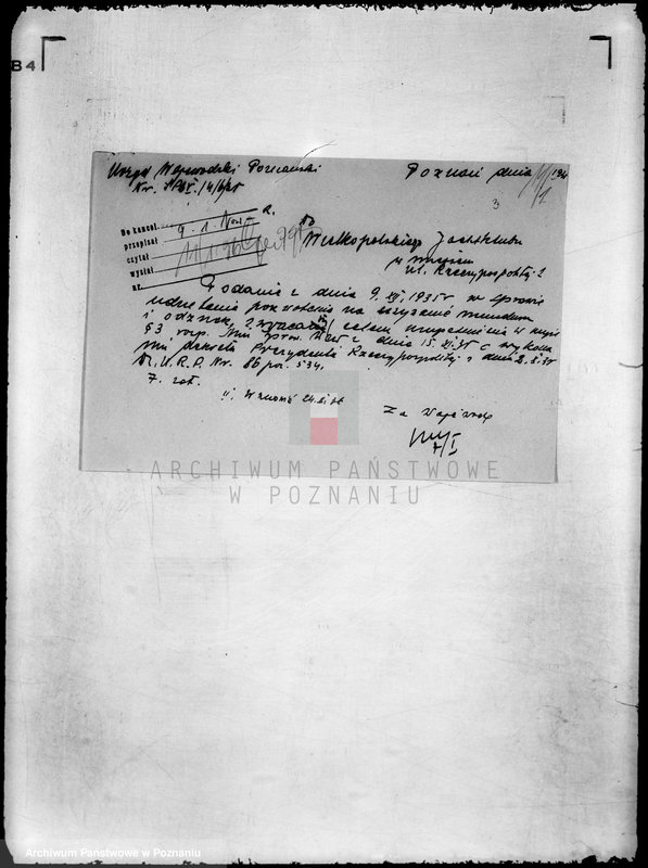 Obraz 7 z jednostki "Jacht Klub Wielkopolski"