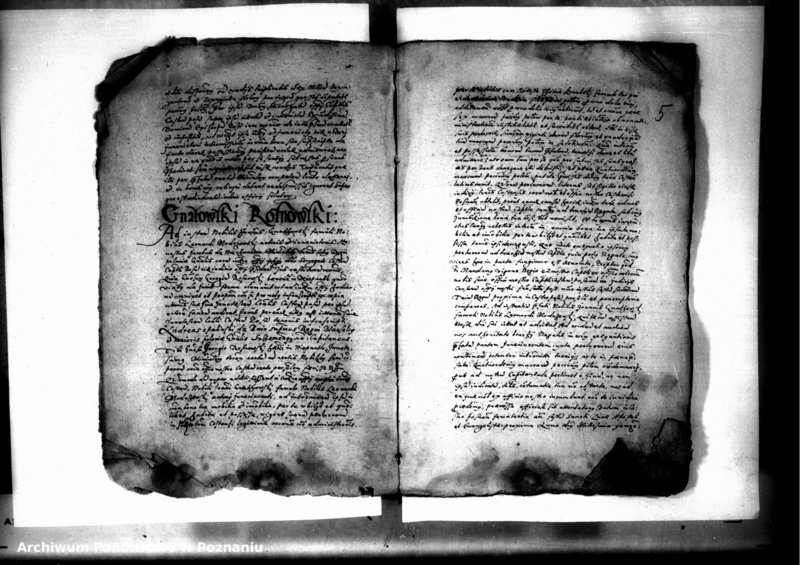 Obraz 7 z jednostki "Decreta officii [inducta]"