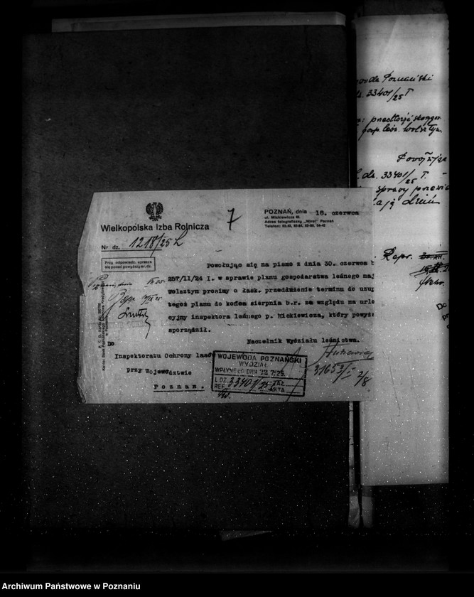 Obraz 11 z jednostki "Majętność leśna Wolsztyn powiat Wolsztyn"
