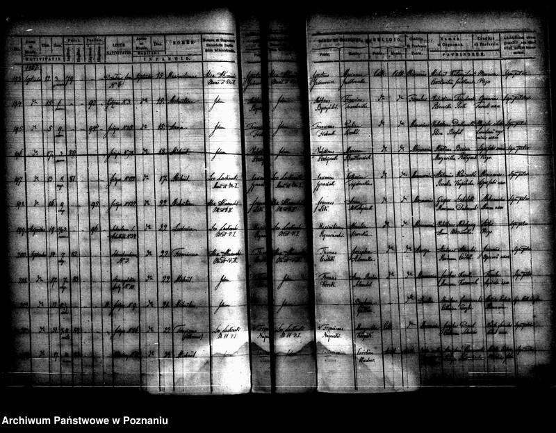 Obraz 20 z jednostki "Księga urodzin"