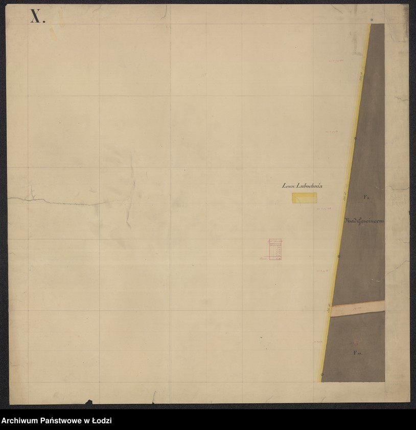 Obraz 19 z jednostki "Pierworys pomiaru territorium Miasta Tomaszowa Mazowieckiego z przyległymi gruntami i lasami do dóbr Tomaszowa należącymi ..."