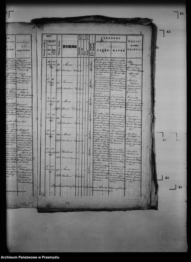 Obraz 8 z jednostki "[Kopie ksiąg metrykalnych parafii Mołoszkowice z filią Leśniowice (dekanat Jaworów)]"