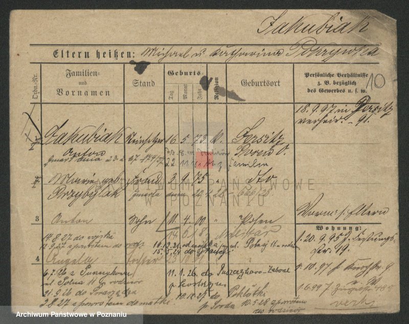 Obraz 10 z jednostki "Jakubiak - Jakubowicz"