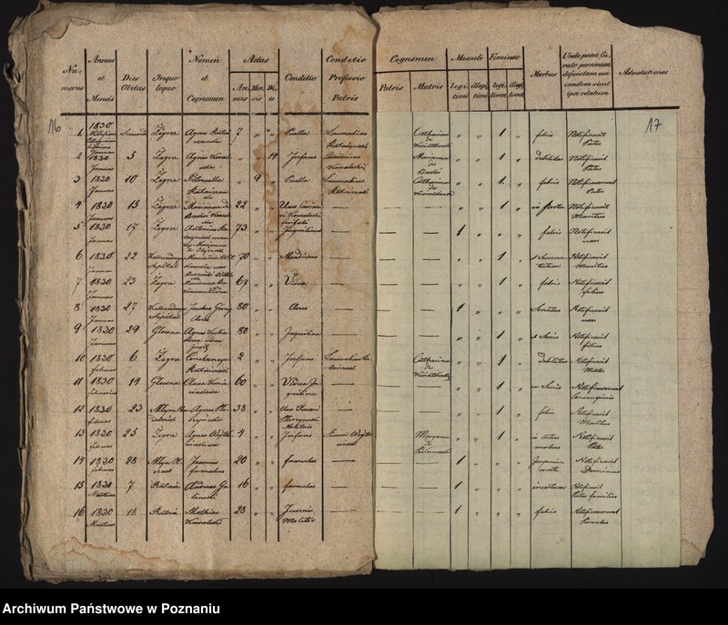 Obraz 12 z jednostki "Księga urodzeń, małżeństw i zgonów"