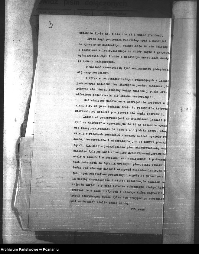 Obraz 7 z jednostki "Leśnictwo"