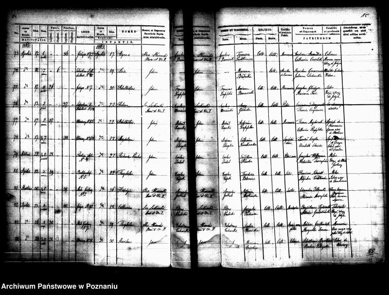 Obraz 10 z jednostki "Księga urodzin"