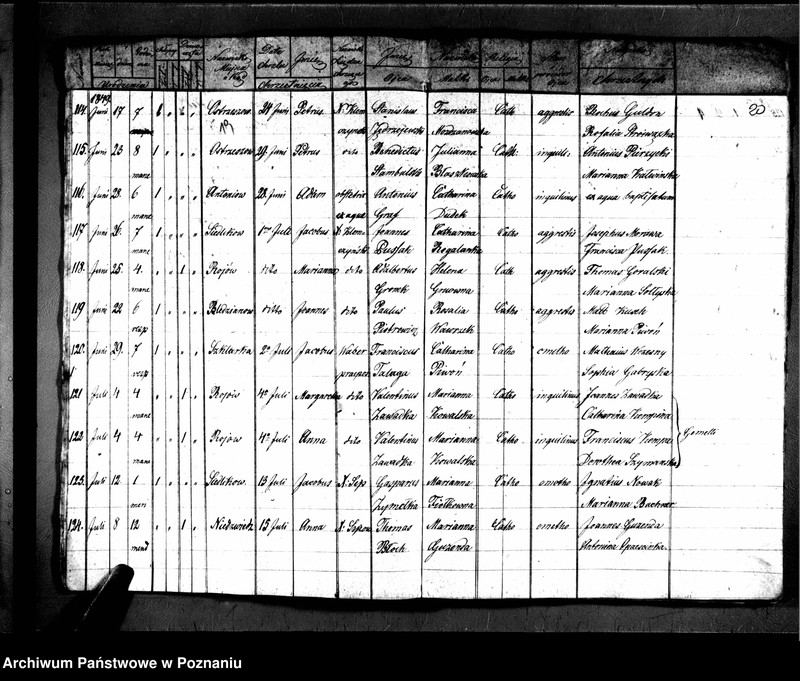 image.from.unit.number "Duplikaty zaślubionych, urodzonych, zmarłych"