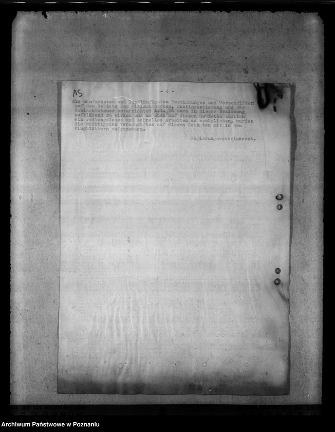 Obraz 19 z jednostki "Notschlachtungen"