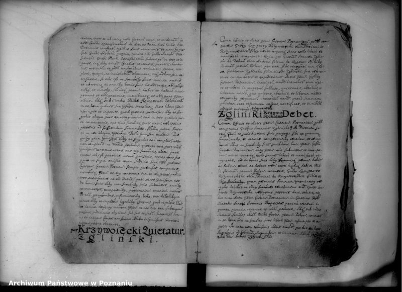 Obraz 9 z jednostki "Inscriptiones [inducta]"