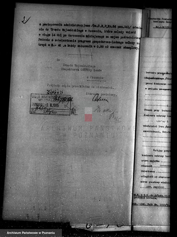 Obraz 6 z jednostki "Lasy majątku Kuźniki powiatu kępińskiego"